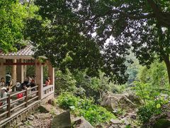 -火炉山森林公园