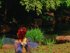 -上海共青森林公园