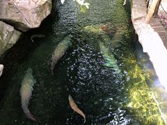 -青青世界