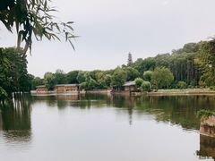 -东湖食堂·湖景餐厅•会议