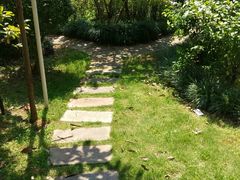 小区环境-东苑半岛花园