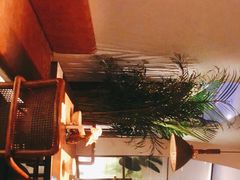-来龙里 精致 东南亚餐室(万象城店)