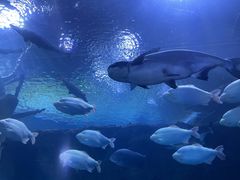 -成都浩海立方海洋公园