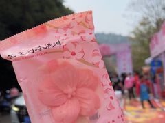 -团城山公园
