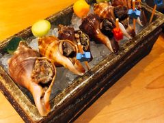 -松涛日本料理
