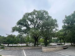 -立水桥公园