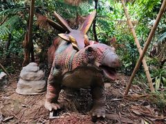 -呀路古热带植物园