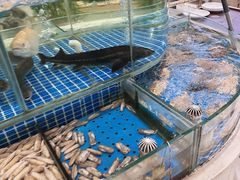 -登瀛楼饭庄(领世郡店)