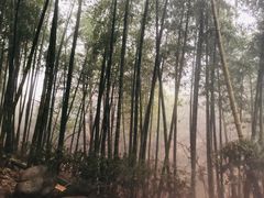 -江南天池高山汤泉城
