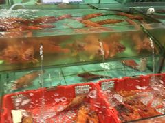 -渔民新村(番禺总店)