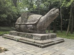 -灵谷景区