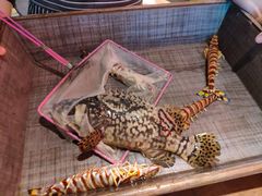 -海九澎湖海鲜餐厅