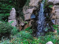 -深圳国际园林花卉博览园