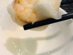 添运来虾饺皇-添运来(茶园奥园广场店)