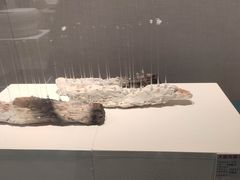 -浙江西湖美术馆