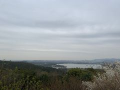-香雪海