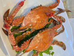 鲜活梭子蟹-渔家风味·鲅鱼水饺·央视展播·海鲜天津菜(开发区店)