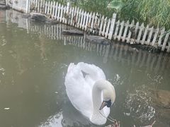 -北京市海淀外国语实验学校