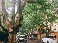 -花马天堂云南餐厅 Lost Heaven(高邮路店)
