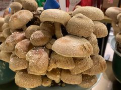 活体松香菇-捞王锅物料理(上海世茂广场店)