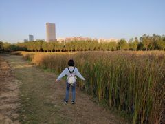 -艾溪湖湿地公园