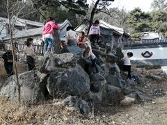 -阳台山自然风景区