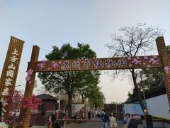 -苏州上方山国家森林公园