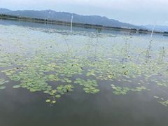 -怀来官厅水库