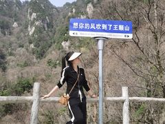 -王顺山国家森林公园