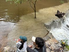 -牛背梁国家森林公园