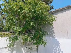 -慈城古县城景区