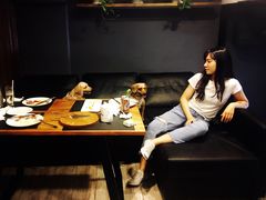 -百好乐宠物友好餐厅(朝外大街店)