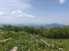 -灵山