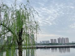 -月湖风景区