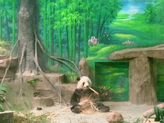 -灵玲国际马戏城