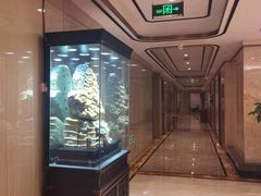 -粤珍轩·家宴·广式茶点(新城广场店)