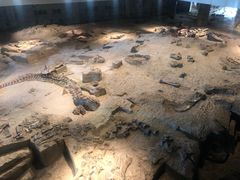 -自贡恐龙博物馆