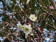 景点-静安雕塑公园