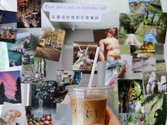 -Punchline Coffee&Roaster(同济大学店)