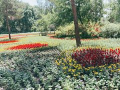 -黑龙江省森林植物园