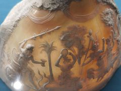 -青岛贝壳博物馆