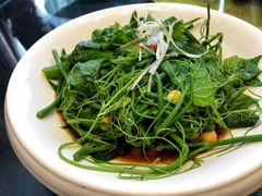 -巴依老爷新疆美食(望京小街店)