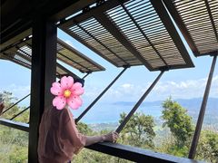 -三亚亚龙湾人间天堂鸟巢度假村