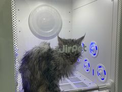 -瑞派紫金宠物医院24小时·骨科·中兽医·重症转诊中心(番禺大石院)
