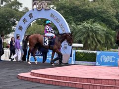 -Koi thé(水坑尾街店)