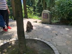 -太阳湾风景区