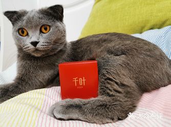 很喜欢同系列的福牌，但是个头太大只适合做吊坠