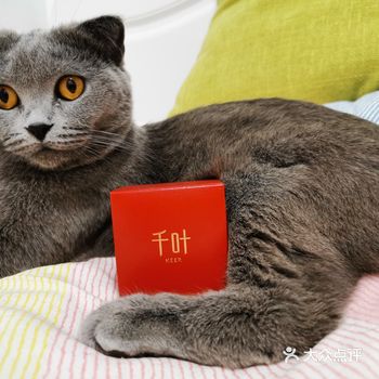 很喜欢同系列的福牌，但是个头太大只适合做吊坠