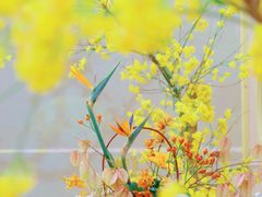 -中国丝业博物馆