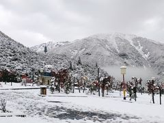 -亚拉雪山风景区